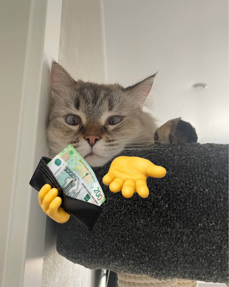 HE HAS RUBLES?? gib more
